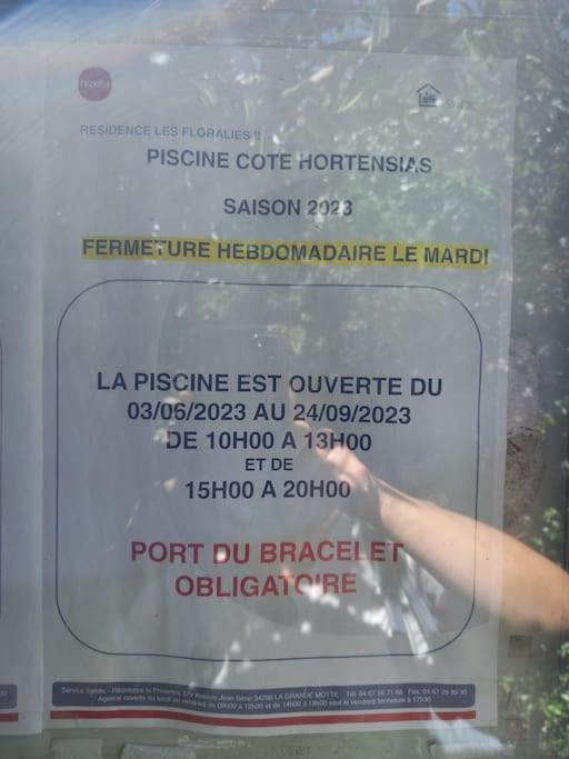 Appartement 2 Pieces + Cabine, 6 Couchages Le Grau-du-Roi Bagian luar foto