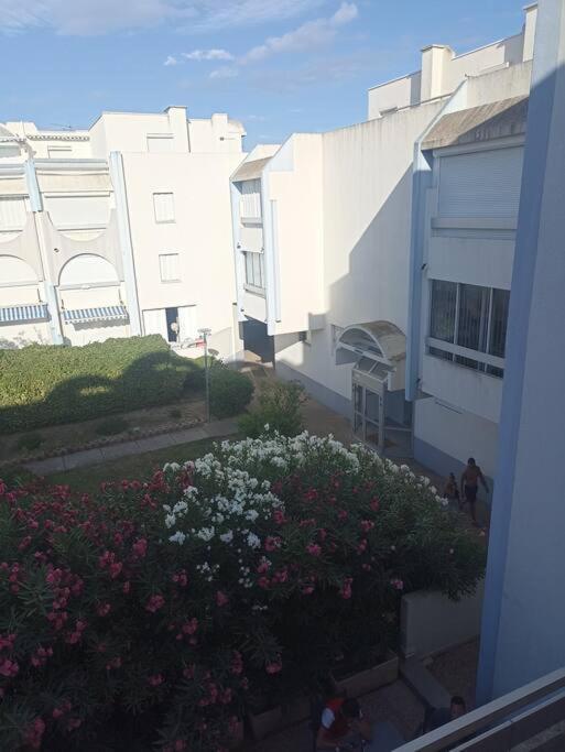 Appartement 2 Pieces + Cabine, 6 Couchages Le Grau-du-Roi Bagian luar foto